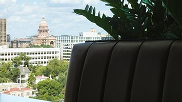 Cityscape view with lush greenery indoors