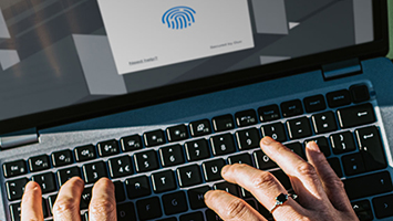 User using passwordless authentication